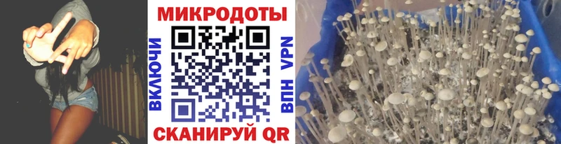 дарнет шоп  Арск  Псилоцибиновые грибы ЛСД 